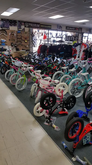 Bike World Picture 2