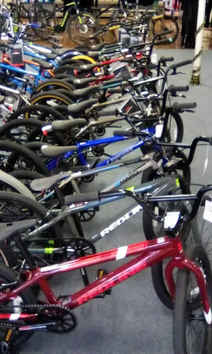 Bike World Picture 10