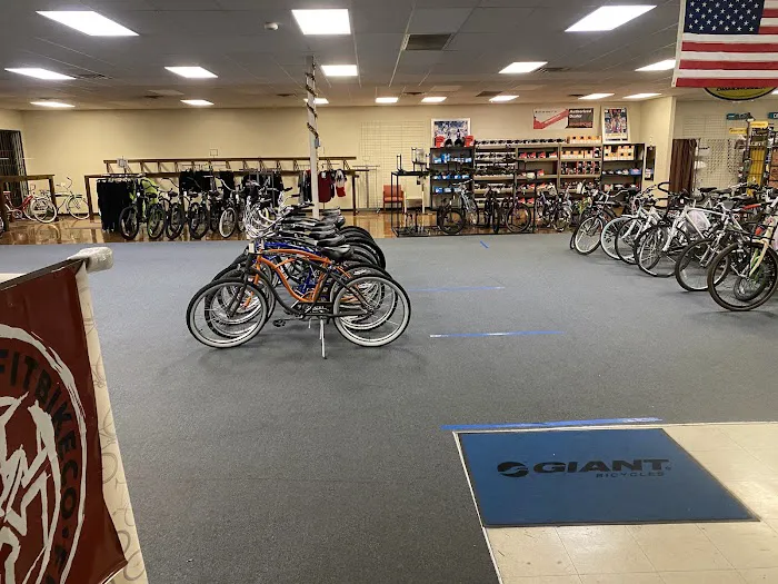 Bike World Picture 5
