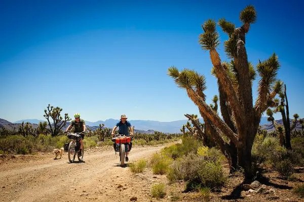 Southwest Bikes Picture 3