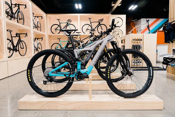 Bikebrain Picture 4
