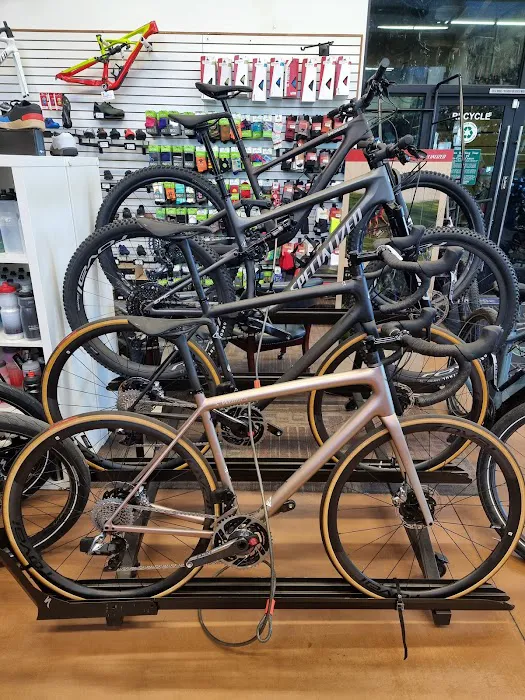 Las Vegas Cyclery Picture 6