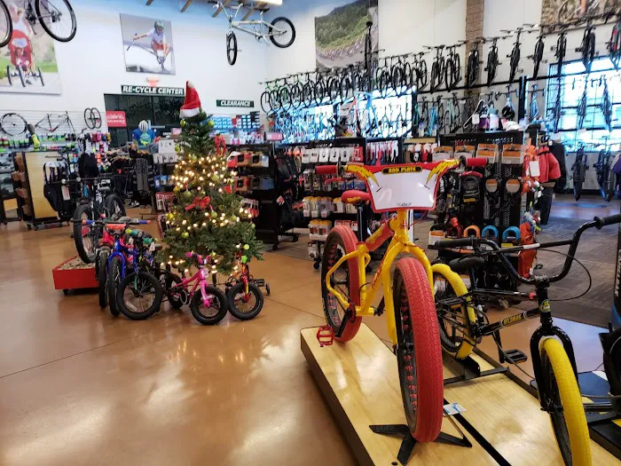 Las Vegas Cyclery Picture 7
