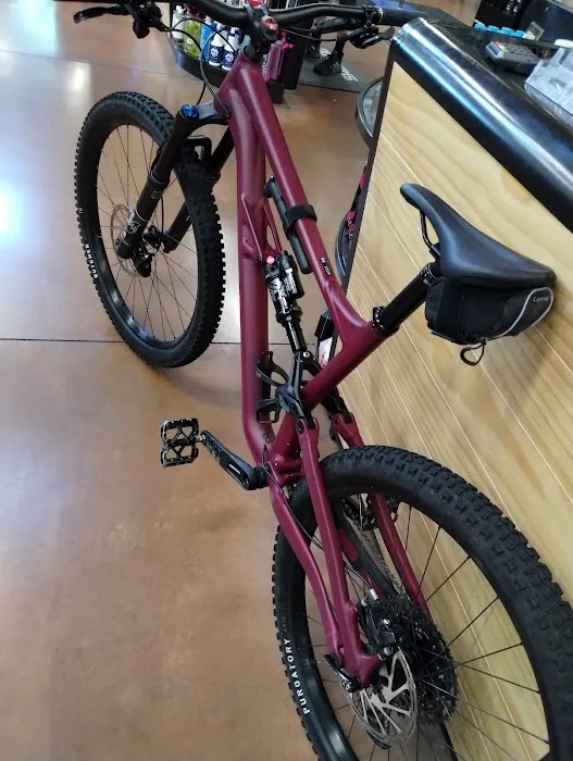 Las Vegas Cyclery Picture 5