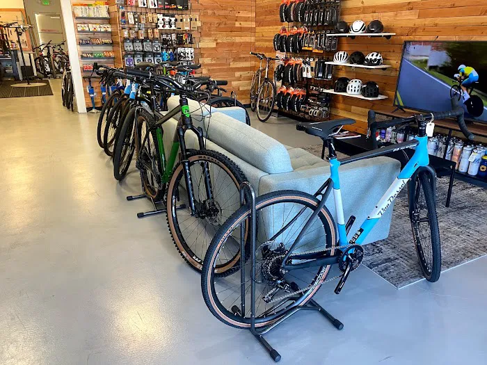 Hutch's Bicycle Garage Picture 9