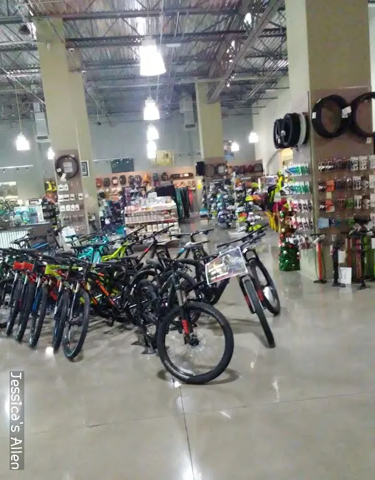 Trek Bicycle Henderson Picture 1