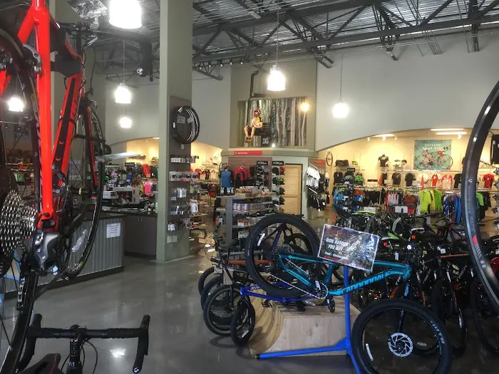 Trek Bicycle Henderson Picture 4