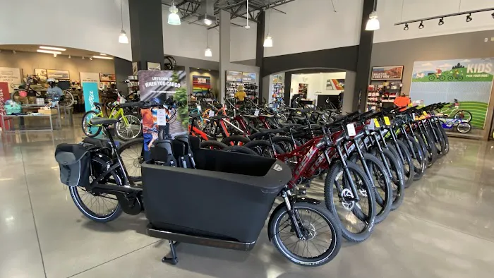 Trek Bicycle Henderson Picture 5