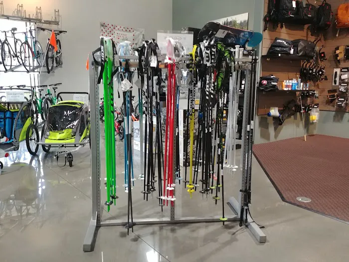 Trek Bicycle Henderson Picture 2