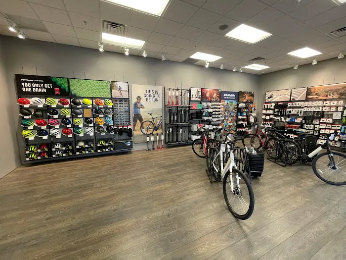 Trek Bicycle Henderson Picture 8