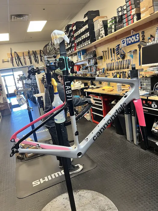 Swanny's Cycles Picture 2