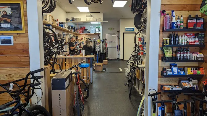 Swanny's Cycles Picture 5