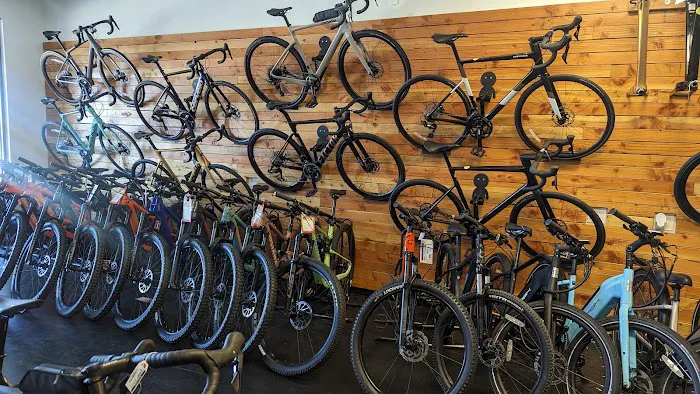 Swanny's Cycles Picture 6