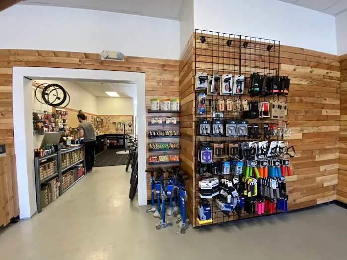 Swanny's Cycles Picture 8