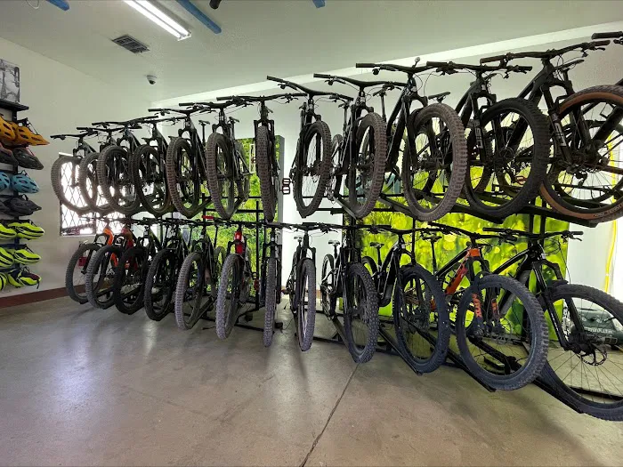 Trek Bicycle Las Vegas Rental Center Picture 3
