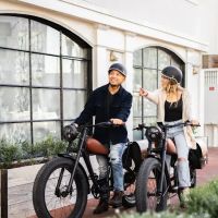 High Level E-Bikes ico