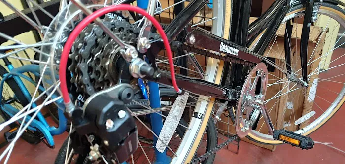 RC Bicycles Picture 2