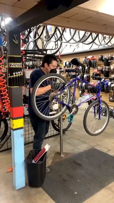 Fair Wheel Bikes Picture 5