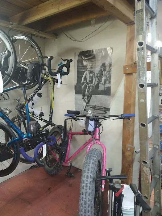 Fair Wheel Bikes Picture 6