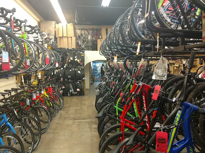 Fair Wheel Bikes Picture 10