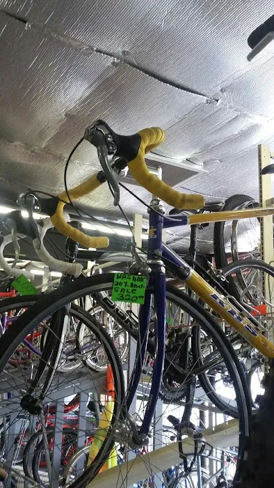 5 Points Bikes Picture 5