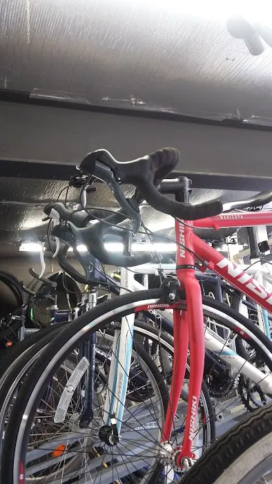5 Points Bikes Picture 6