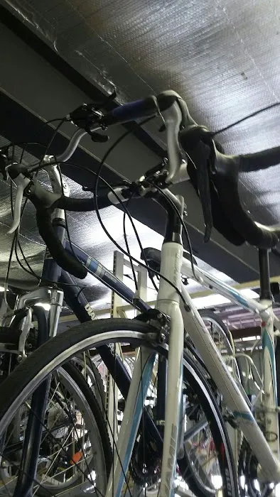 5 Points Bikes Picture 7