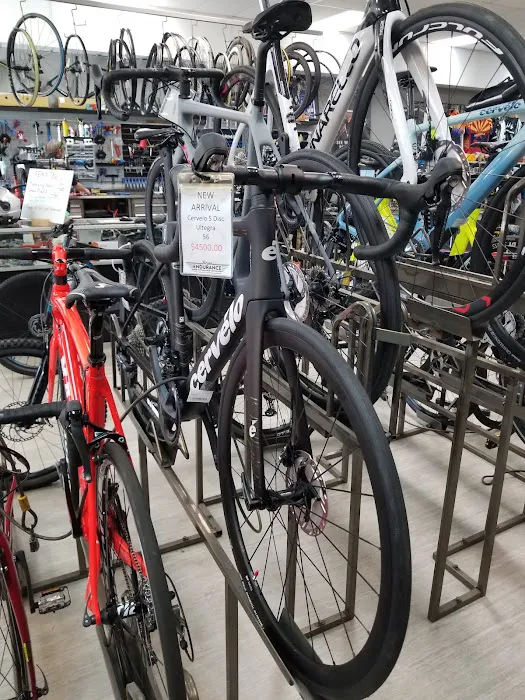 Tucson Endurance Performance Oracle - Bike & Triathlon Shop Picture 6