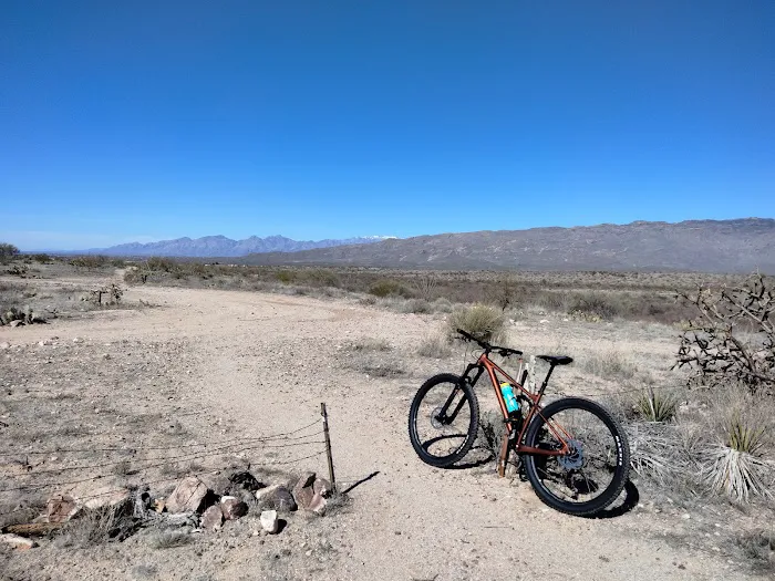 Roadrunner Bicycles Picture 8