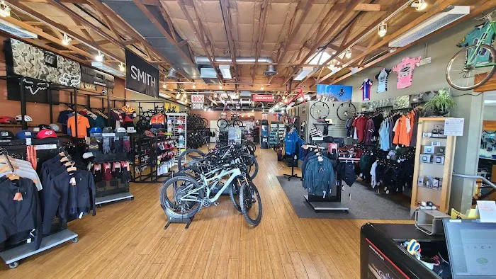 Sabino Cycles Picture 7