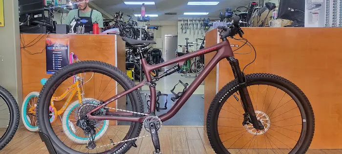 Sabino Cycles Picture 5