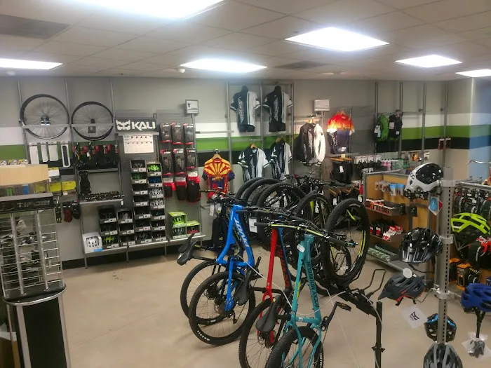 Tucson Endurance Bike Shop East - On the Loop Picture 6