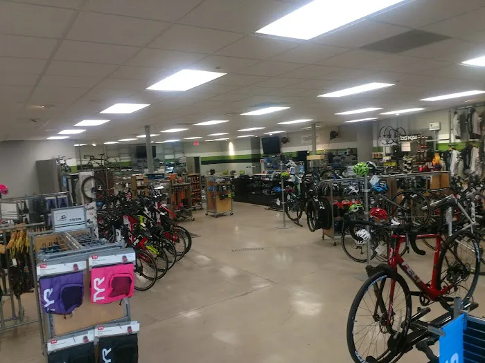Tucson Endurance Bike Shop East - On the Loop Picture 8
