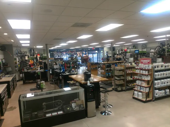Tucson Endurance Bike Shop East - On the Loop Picture 10