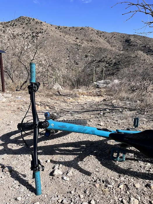 Earlybird Bikes Picture 2