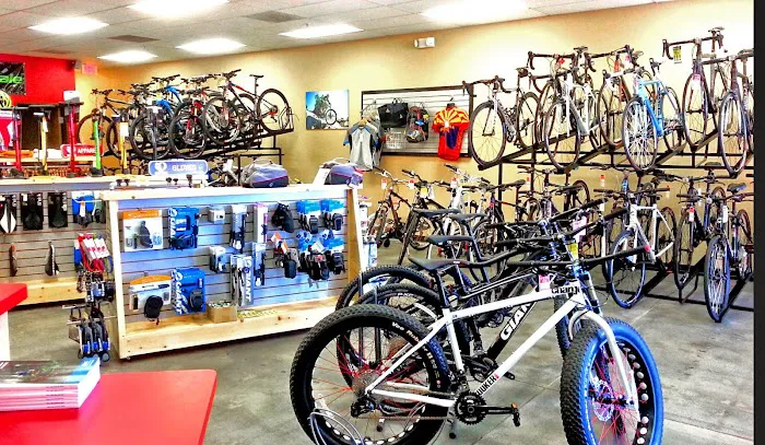 Bicycle Ranch Tucson Picture 1