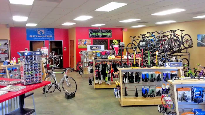 Bicycle Ranch Tucson Picture 9