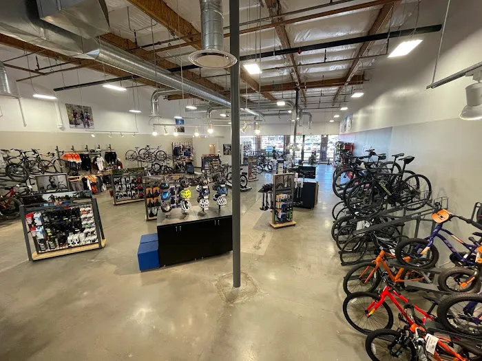 Bicycle Ranch Tucson Picture 8