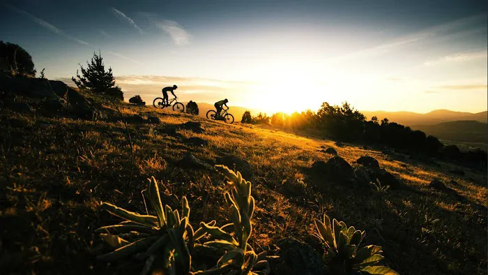 Trek Bicycle Oro Valley Picture 6