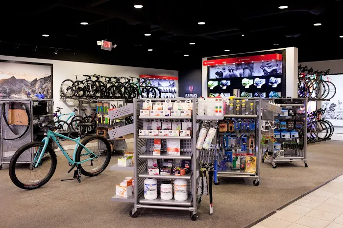 Trek Bicycle Oro Valley Picture 7
