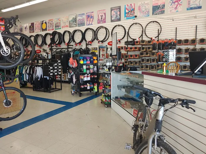 Oro Valley Bicycle - Ina & Shannon Picture 6