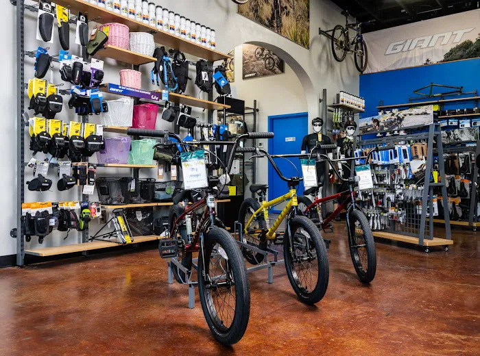 Ben's Bikes Picture 9