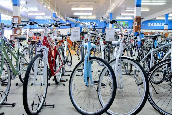 Indy Cycle Specialist Picture 2