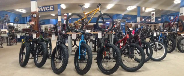 Indy Cycle Specialist Picture 5