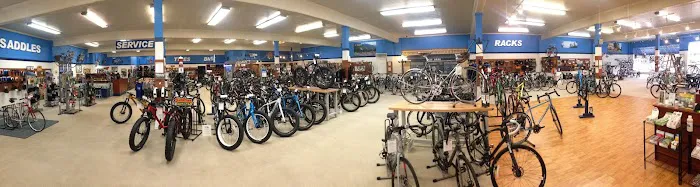Indy Cycle Specialist Picture 3
