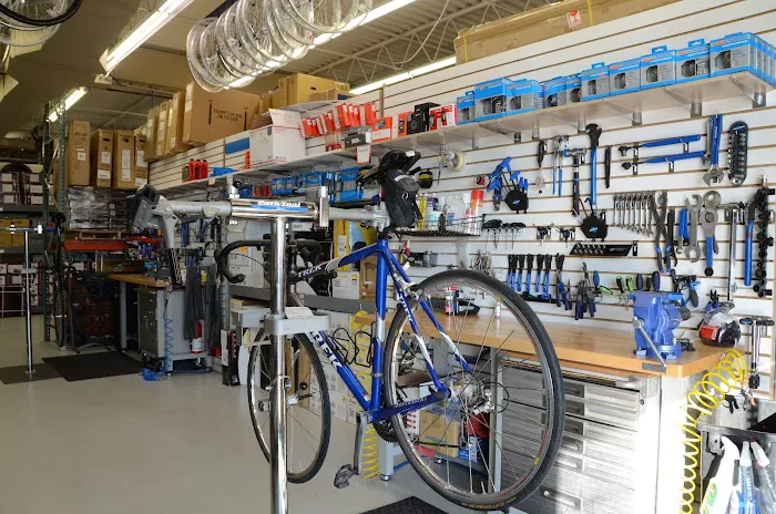 BOI Bicycle Outfitters Indy Picture 6
