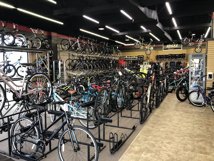 BOI Bicycle Outfitters Indy Picture 10