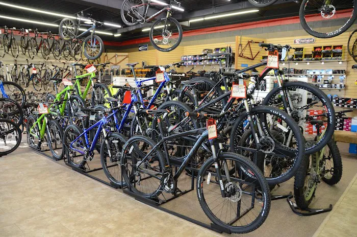 BOI Bicycle Outfitters Indy Picture 2