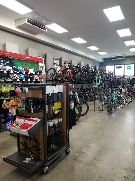 The Bike Line Picture 8
