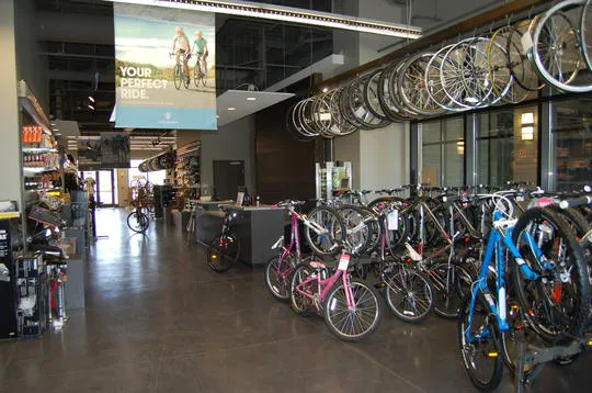 The Bike Line Picture 6